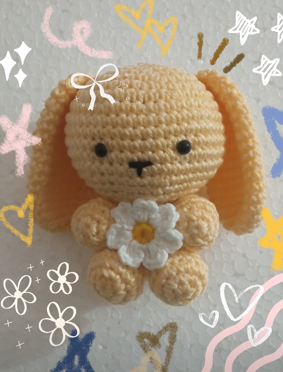Mini Bunny